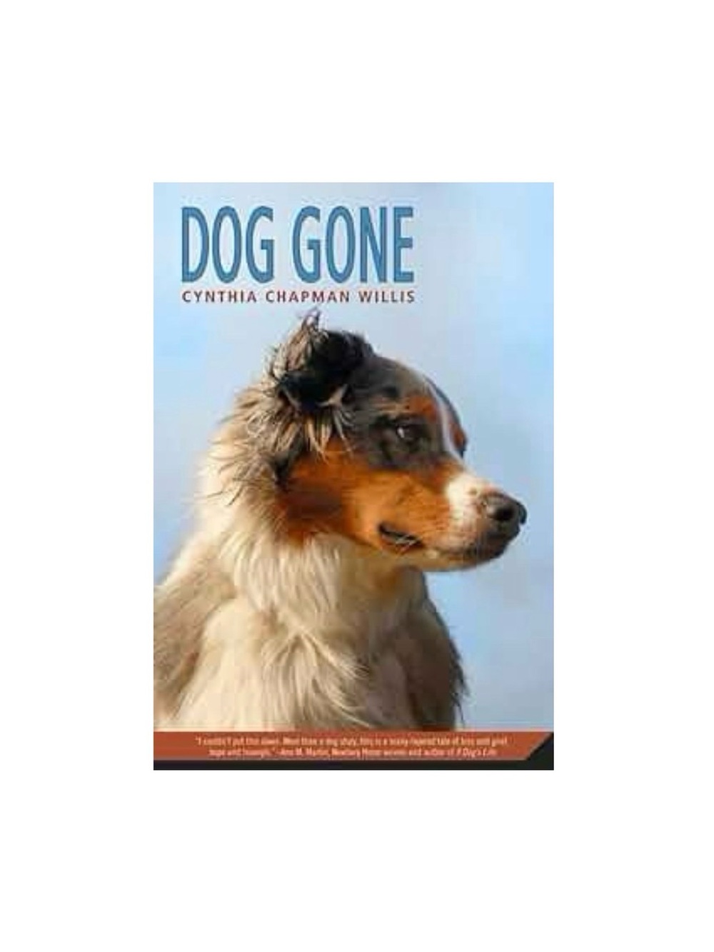 Y2K Scholastic Dog Gone Kids School Children’s Paperback Mystery Book